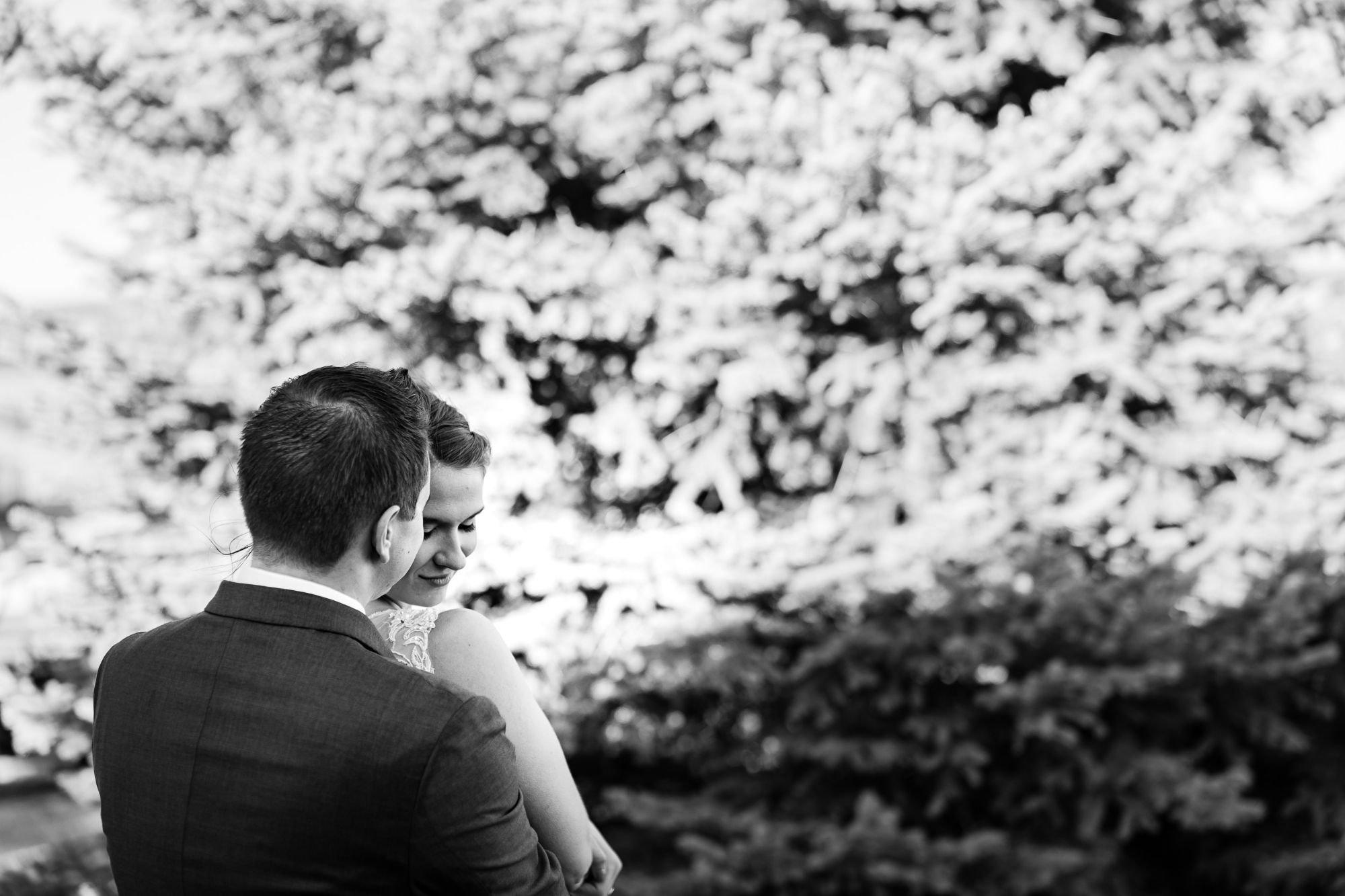 carousel-hero-element image-2